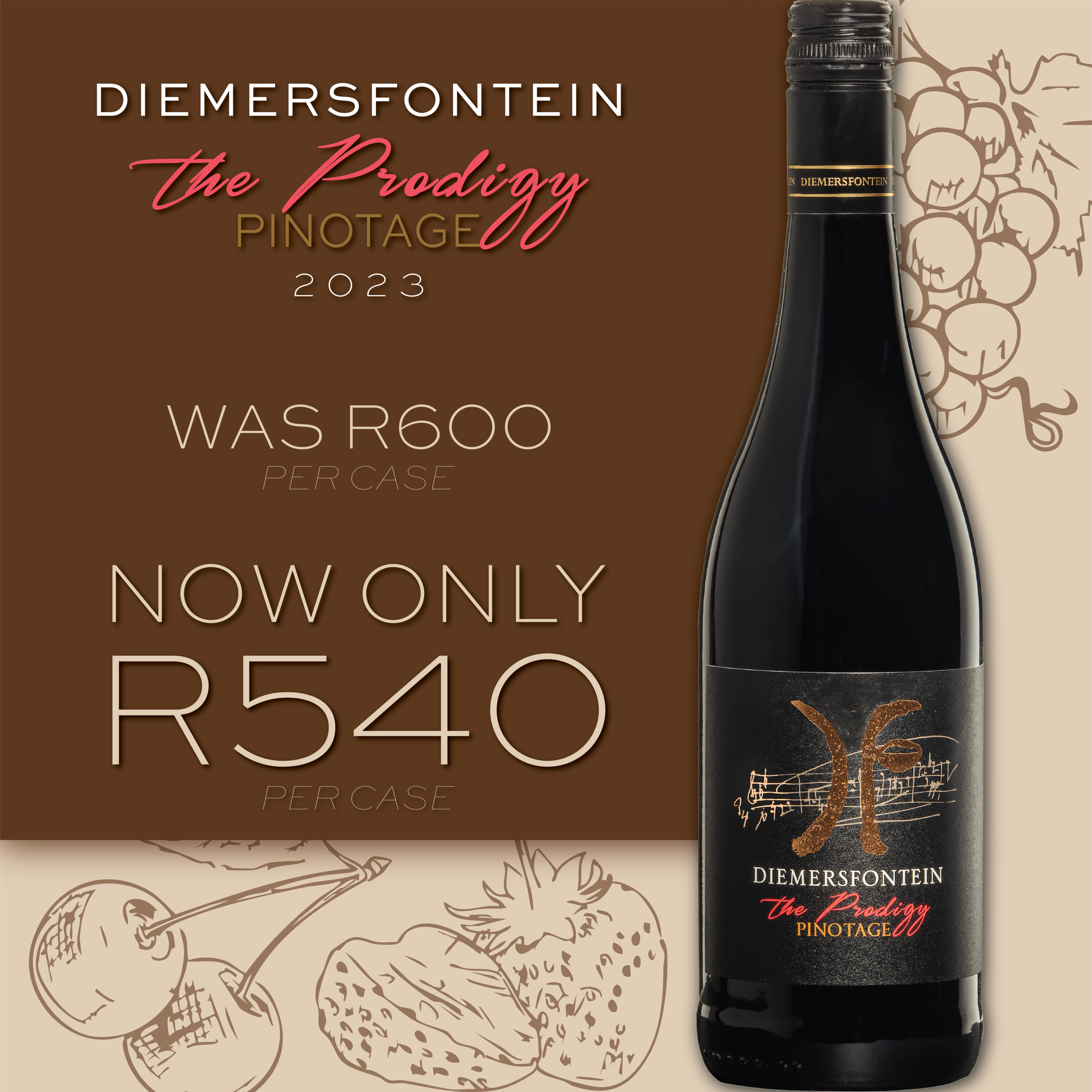 Featured image for “DIEMERSFONTEIN THE PRODIGY PINOTAGE 2023”