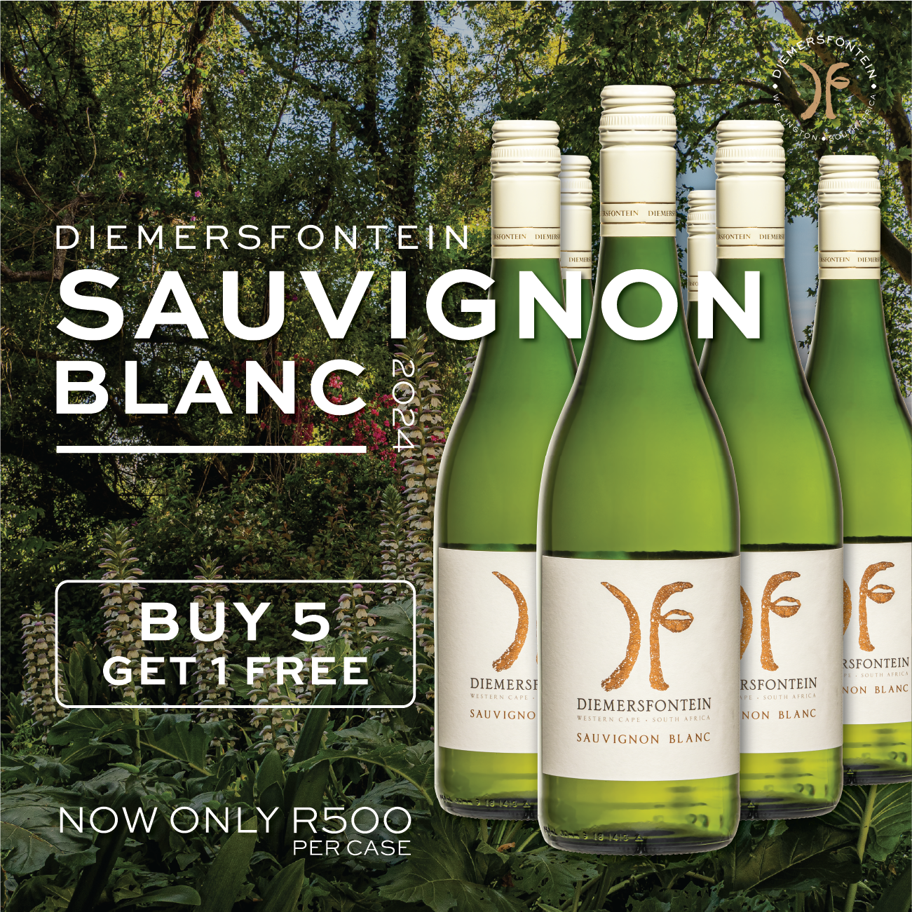 Featured image for “DIEMERSFONTEIN SAUVIGNON BLANC 2024”