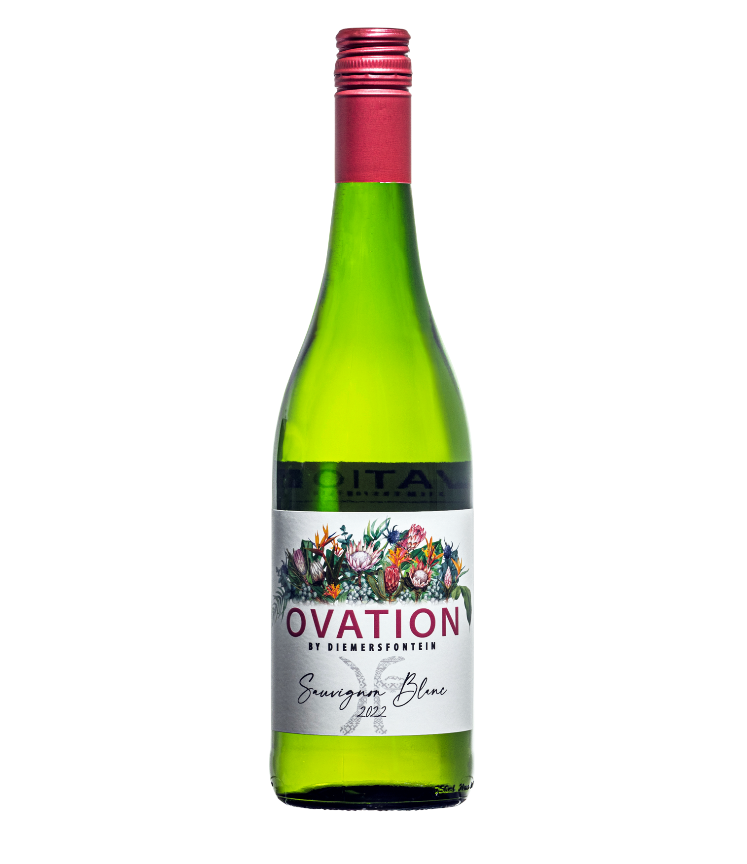 Featured image for “OVATION SAUVIGNON BLANC 2022”